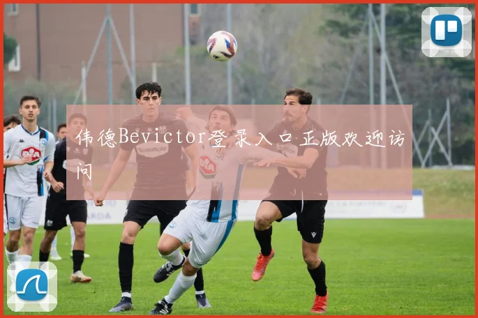 伟德Bevictor登录入口正版欢迎访问