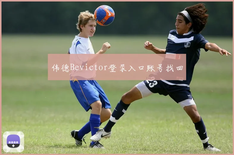 伟德Bevictor登录入口账号找回